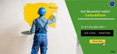 Color_Offer_4.webp