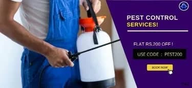 PestControl_Offer_10.webp